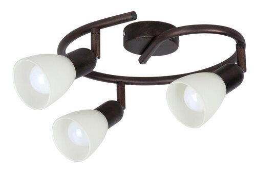 Rabalux Spot rasveta Soma 6593