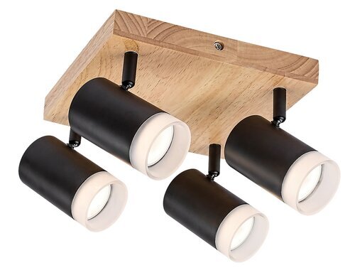 Rabalux Spot rasveta Toras 73124