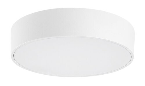 Rabalux Spoljna plafonska rasveta Tartu 7893