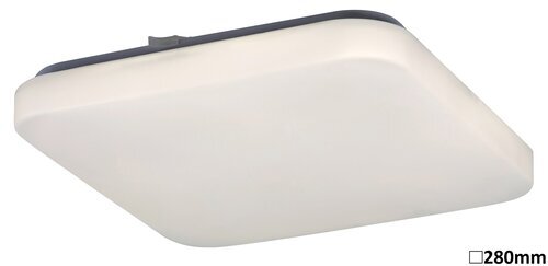 Rabalux Plafonjere Rob 2286