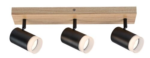 Rabalux Spot rasveta Toras 73123