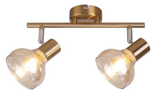 Rabalux Spot rasveta Holly 5547