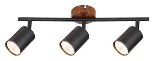 Rabalux Spot rasveta Edmund 5297