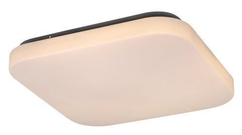 Rabalux Plafonjere Rob 3340