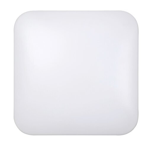 Rabalux Plafonjere Rob 3344