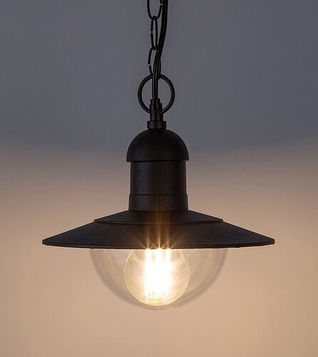 Rabalux Spoljna visilice Oslo 8717