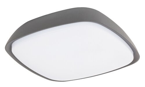 Rabalux Spoljna plafonska rasveta Austin 8797