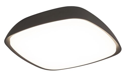 Rabalux Spoljna plafonska rasveta Austin 8797