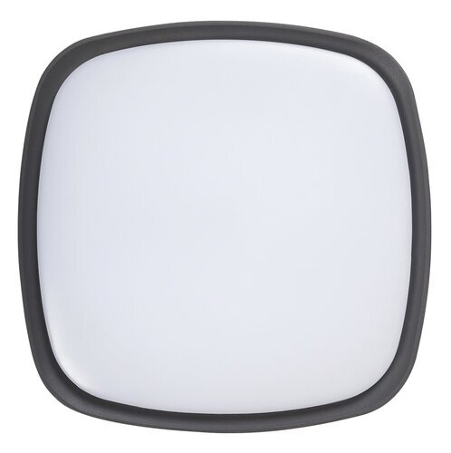 Rabalux Spoljna plafonska rasveta Austin 8797