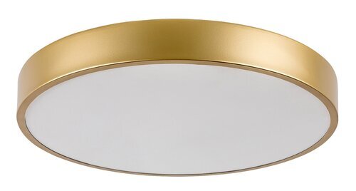 Rabalux Plafonjere Tesia 71037