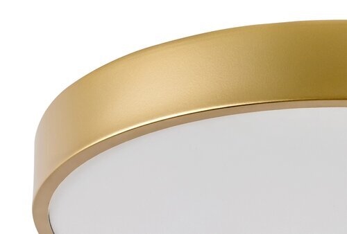 Rabalux Plafonjere Tesia 71037