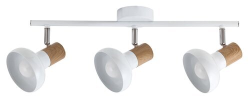 Rabalux Spot rasveta Holly 5945