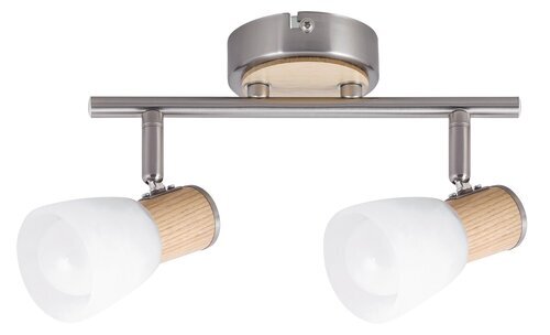 Rabalux Spot rasveta Gavin 6487