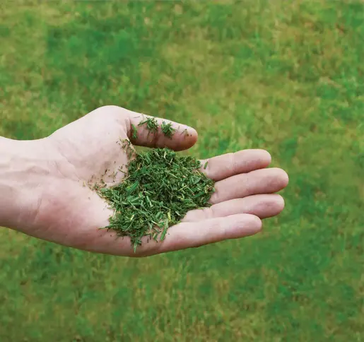 Einhell Benzinska samohodna kosačica za travu GC-PM 51/3 S HW-E