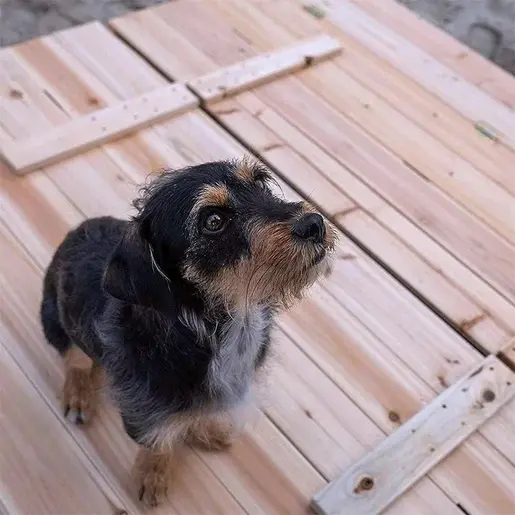 KINDER HOME Veliki dečiji pesčanik sa klupama i preklopnim poklopcem- drveni C1113