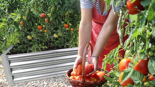 Chomik Baštenska žardinjerica 240 cm za povrće i cveće pravougaona pocinkovana ZAK8304