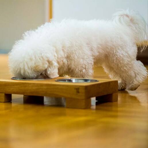 Meda furniture Hranilica i pojilica za pse Hanna