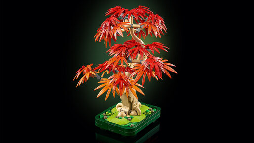 LEGO® Botanicals Bonsai japanski crveni javor 10348