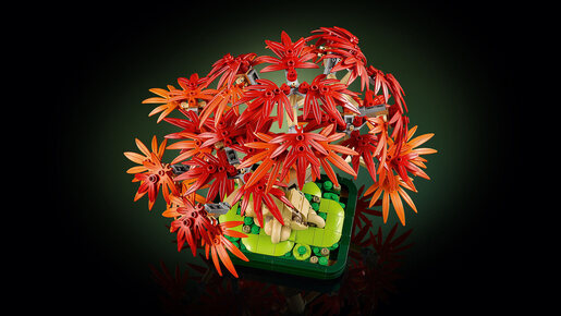 LEGO® Botanicals Bonsai japanski crveni javor 10348