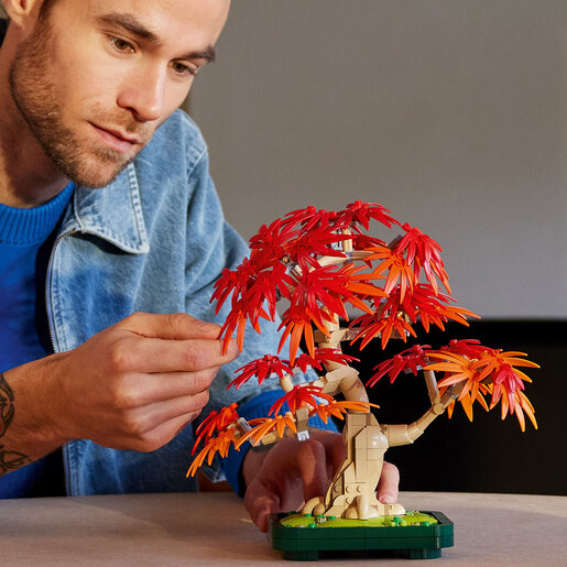 LEGO® Botanicals Bonsai japanski crveni javor 10348