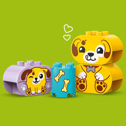 LEGO® DUPLO® Prepoznavanje oblika: kućica za psiće 10441