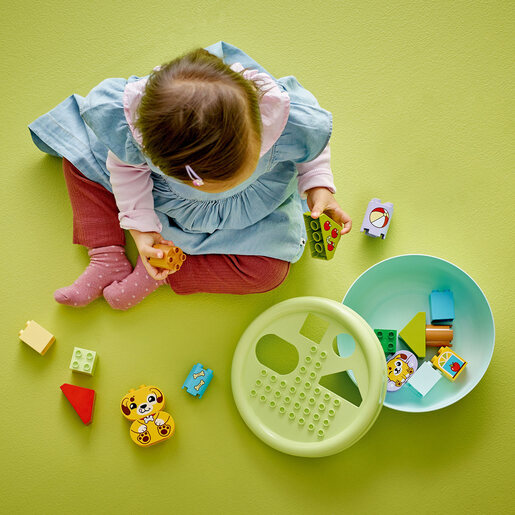 LEGO® DUPLO® Prepoznavanje oblika: kućica za psiće 10441