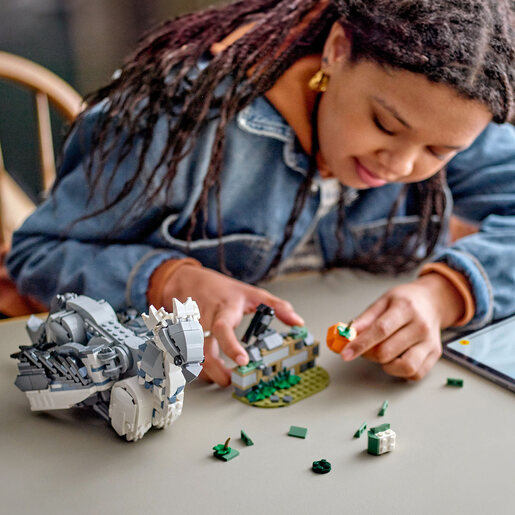 LEGO Bakbik™ 76427