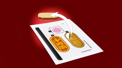 LEGO Srećna mačka 40813