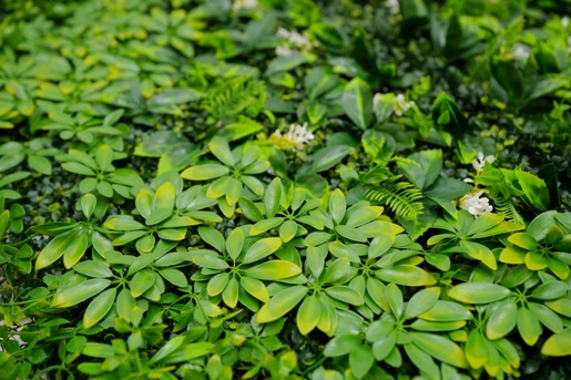 Bolzz ZELENI ZID 3D TARA 1 100X100 CM BOLZZIDTAR1