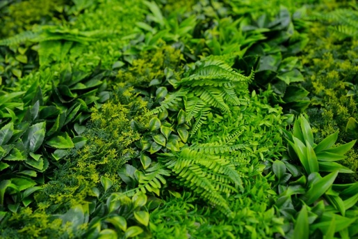 Bolzz ZELENI ZID 3D LUX 100X100 CM BOLZZIDLUX