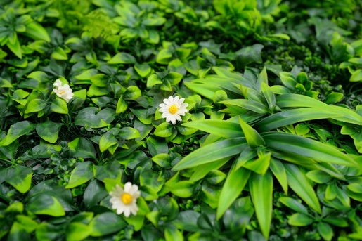 Bolzz ZELENI ZID 3D TARA 3 100X100 CM BOLZZIDTAR3