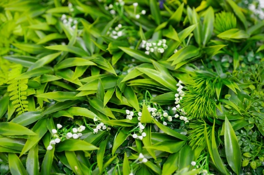 Bolzz ZELENI ZID 3D AMAZON 2 100X100 CM BOLZZIDAMA2