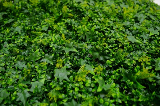 Bolzz ZELENI ZID 3D TARA 2 100X100 CM BOLZZIDTAR2