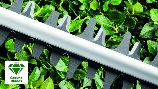 BOSCH AdvancedHedgeCut 36V-65-28 (solo-alat) makaze za živu ogradu, akumulatorske 060084A301