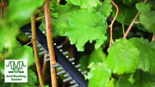 BOSCH AdvancedHedgeCut 36V-65-28 (solo-alat) makaze za živu ogradu, akumulatorske 060084A301