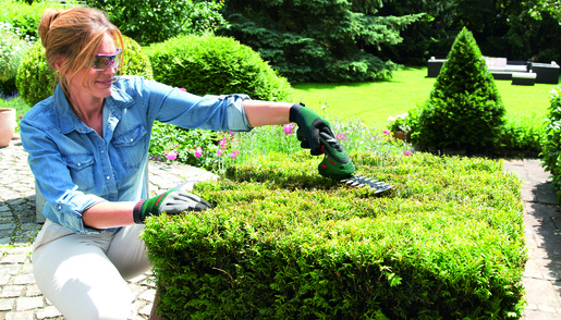 BOSCH ISIO akumulatorske makaze za uređivanje trave i grmova + nož za travu (80mm) + teleskopska drška 0600833109