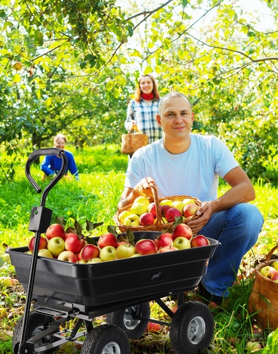 CHOMIK Baštenska transportna kolica Garden Line, 300kg, Green, 75 L