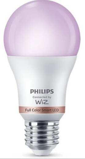 Philips Led sijalica 60w a60 e27 929003817603
