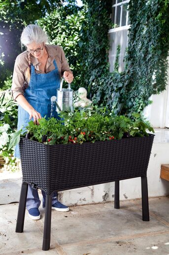 Keter Saksija za mini baštu Easy grow 120L, grafit CU 230298