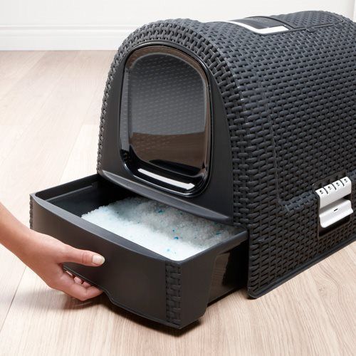 Curver Transporter za kućne ljubimce grafit CU 00615-P15