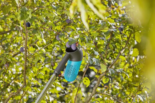 Gardena Berač bobičastog i koštunjavog voća combisystem GA 17400-20