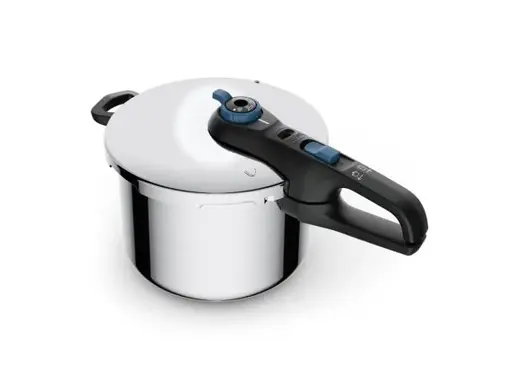 TEFAL EKSPRES LONAC 8l P2584401