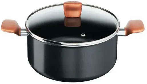 TEFAL ŠERPA SA POKLOPCEM 24cm B2554602 EXPRESS