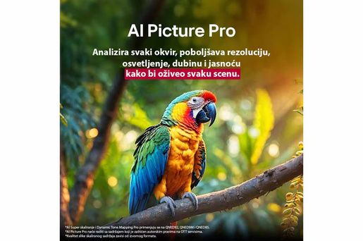 LG QNED evo AI TV 55QNED87A3B, 4K Ultra HD, WebOS Smart TV, VRR 144Hz, α8 AI Processor 4K Gen2, Dynamic Tone Mapping, Magic remote