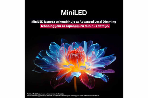 LG QNED AI TV 65QNED87A3B, 4K Ultra HD, WebOS Smart TV, VRR 144Hz, α8 AI Processor 4K Gen2, Dynamic Tone Mapping, Magic remote