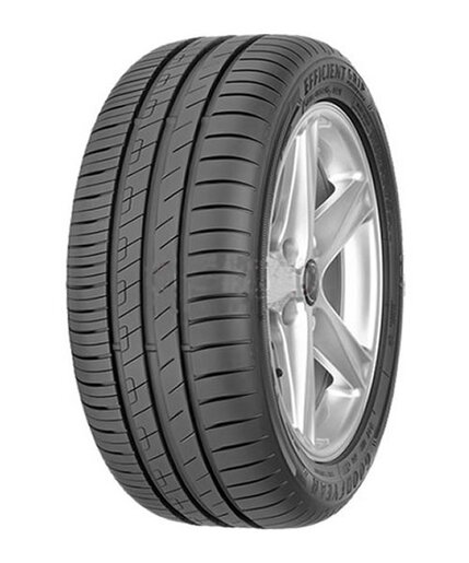 Goodyear guma 205/55R16 EFFIGRIP PERF 91V
