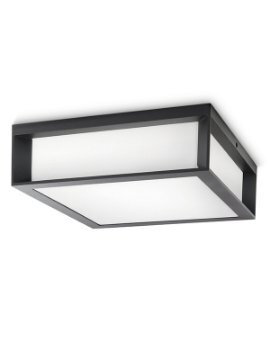 Philips PH066 spoljašnja zidna - plafonska svetiljka Skies max 2x42W 230V antracit