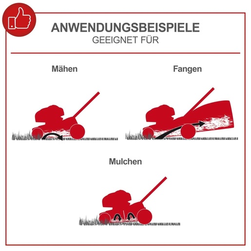 Scheppach motorna kosačica kosilica MS173-51 4.1 KS 5911259903