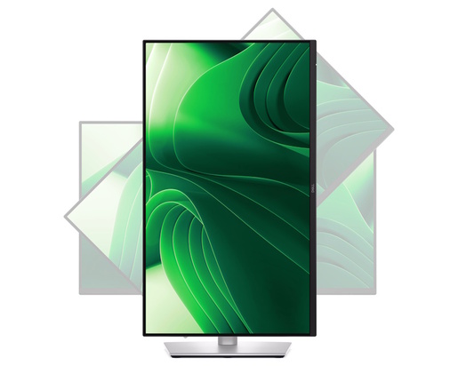 Monitor 23.8 DELL Pro Plus P2425D, IPS, QHD, 100Hz, 5ms, HDMI, DP, USB, pivot