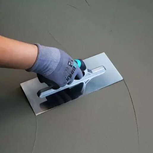 Gleterica ravna - BIHUI PTSBPL